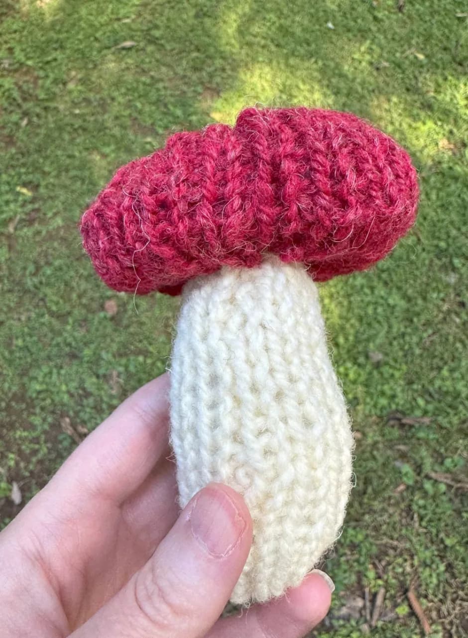 Knitting Machine Mushroom Pattern
